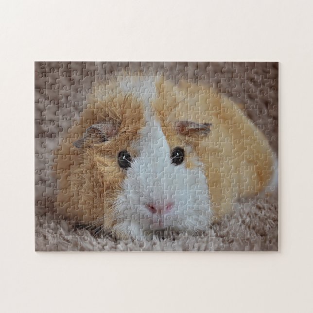Guinea Rot und Weiß (Horizontal)