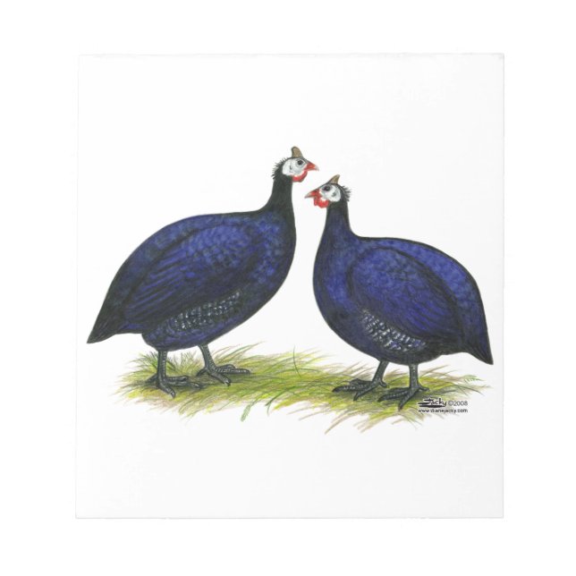 Guinea Royal Lila Pair Notizblock (Vorderseite)