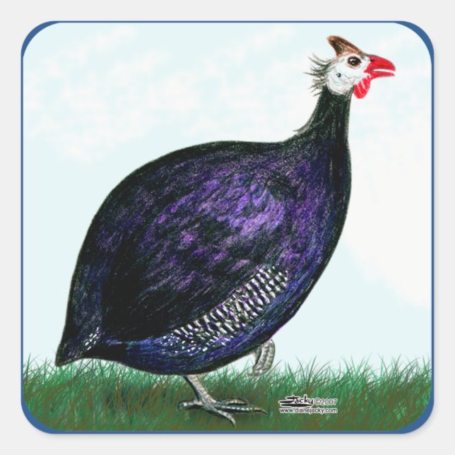 Guinea Royal Lila und Sky Quadratischer Aufkleber (Vorderseite)