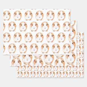Guinea Schwein Wrapping Paper Flat Sheet Set 3 Geschenkpapier Set