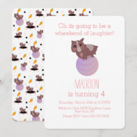 Guinea Schweine Fitness