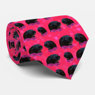 Guinea Schweine und Rose, Schweine Krawatte