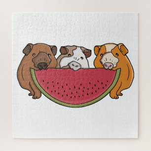 Guinea Schweine und Wassermelone Illustration