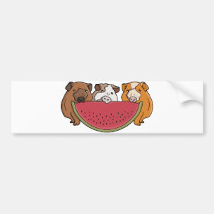 Guinea Schweine und Wassermelone Illustration Autoaufkleber