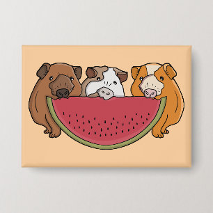 Guinea Schweine und Wassermelone Illustration Button