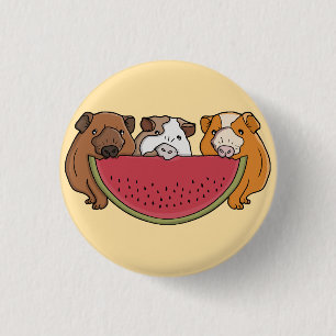Guinea Schweine und Wassermelone Illustration Button