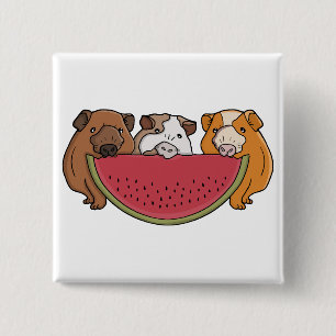 Guinea Schweine und Wassermelone Illustration Button