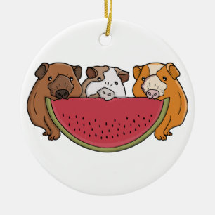 Guinea Schweine und Wassermelone Illustration Keramik Ornament