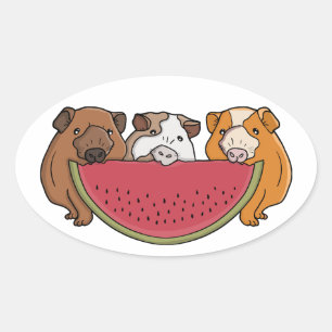 Guinea Schweine und Wassermelone Illustration Ovaler Aufkleber