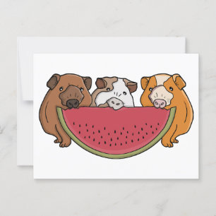 Guinea Schweine und Wassermelone Illustration Postkarte