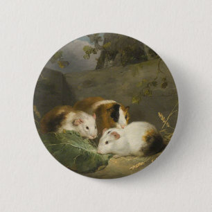 Guinea Schweine (von George Morland) Button