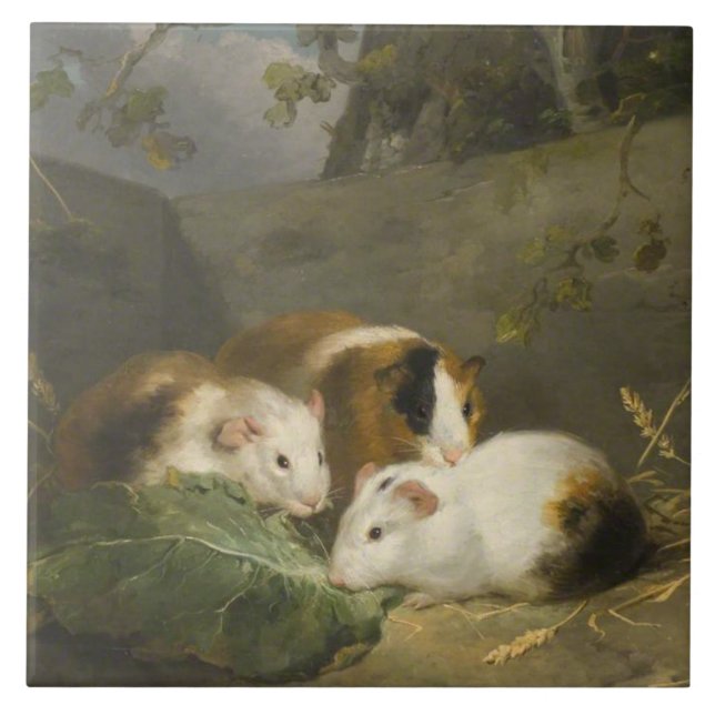 Guinea Schweine (von George Morland) Fliese (Vorderseite)