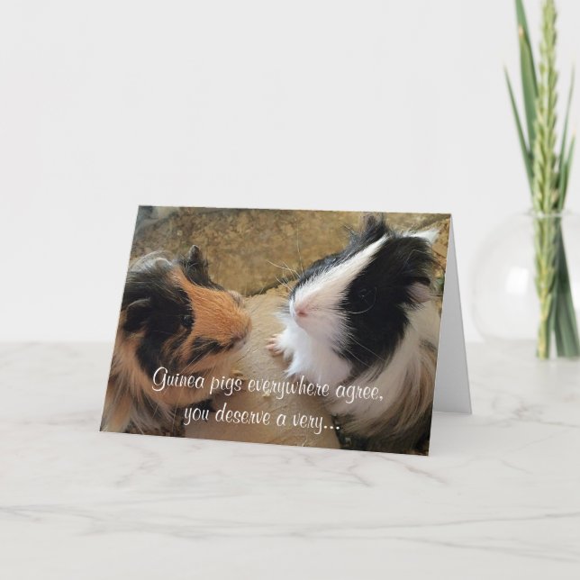Guinea Schweine zum Geburtstag Karte (Vorderseite)