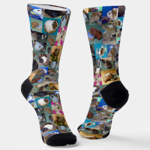 Guinea Schweinebollage, Socken