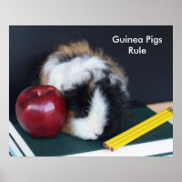 Guinea Schweinebrennposter