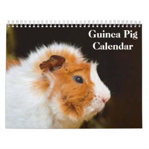 Guinea Schweinefleisch 2025 Kalender