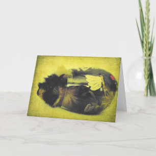 Guinea Schweinefleisch aus Weinglas Karte