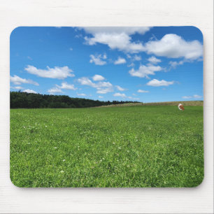 Guinea Schweinefleisch in Feldmauern Mousepad