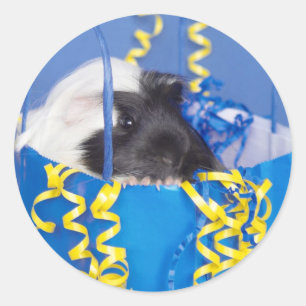 Guinea Schweinefleisch in Party-Beutel Runder Aufkleber