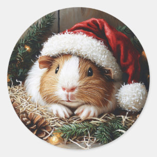Guinea Schweinefleisch Weihnachtsmannmütze tragen Runder Aufkleber