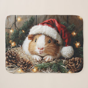 Guinea Schweinefleisch Weihnachtsmannmütze tragen Sherpadecke