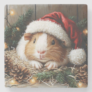 Guinea Schweinefleisch Weihnachtsmannmütze tragen Steinuntersetzer