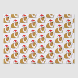 Guinea Schweinefleisch zu Weihnachten in einer Wei Seidenpapier