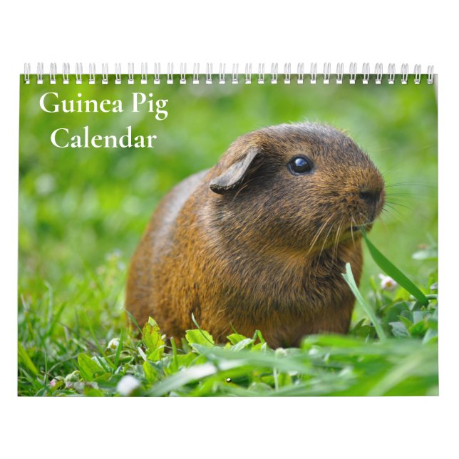 Guinea Schweinefleischkalender 2025 Kalender (Titelbild)