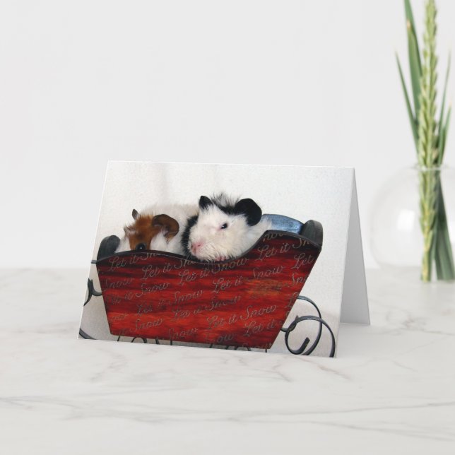 Guinea Schweinekinder in einem Roten Schlitten Karte (Vorderseite)