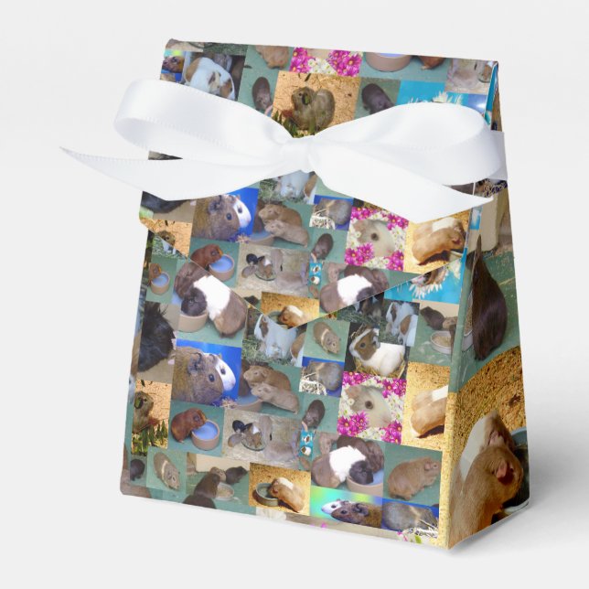 Guinea Schweinekollage, Gastgeschenk Geschenkschachtel (Vorderseite)