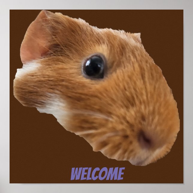 Guinea Schweinekopfposter Poster (Vorne)