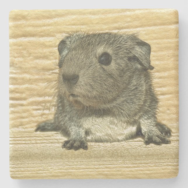 Guinea Steinuntersetzer (Vorderseite)