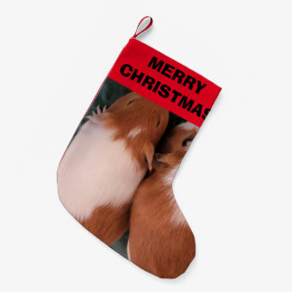 Guinea Strumpf Kleiner Weihnachtsstrumpf
