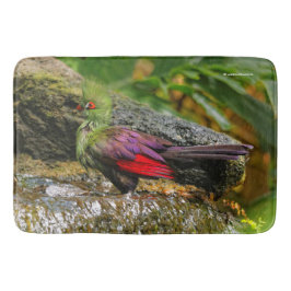 Guinea Turaco am Wasserfall Badematte