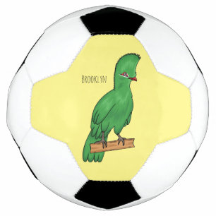 Guinea Turaco Vogel Cartoon Illustration Fußball