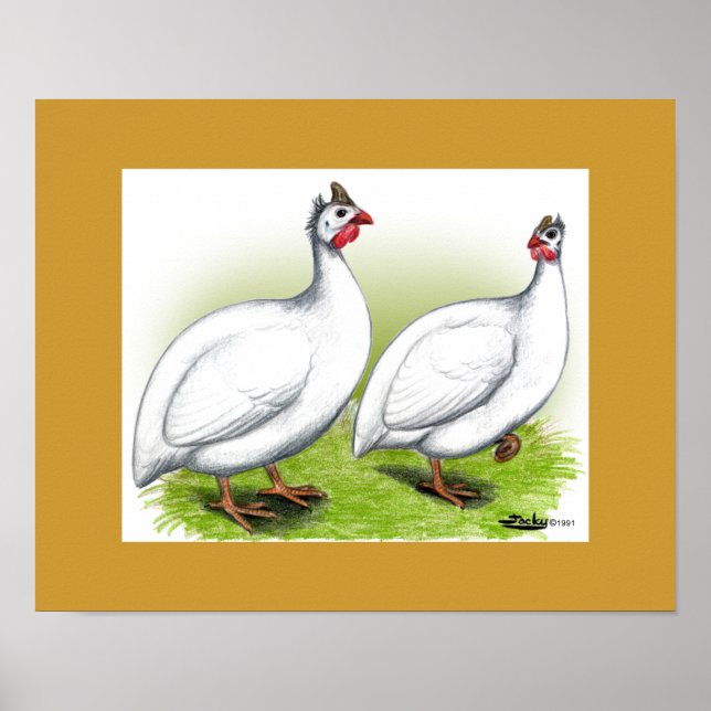 Guinea: weiß poster (Vorne)