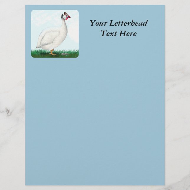 Guinea White (Vorderseite)