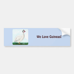 Guinea White Autoaufkleber