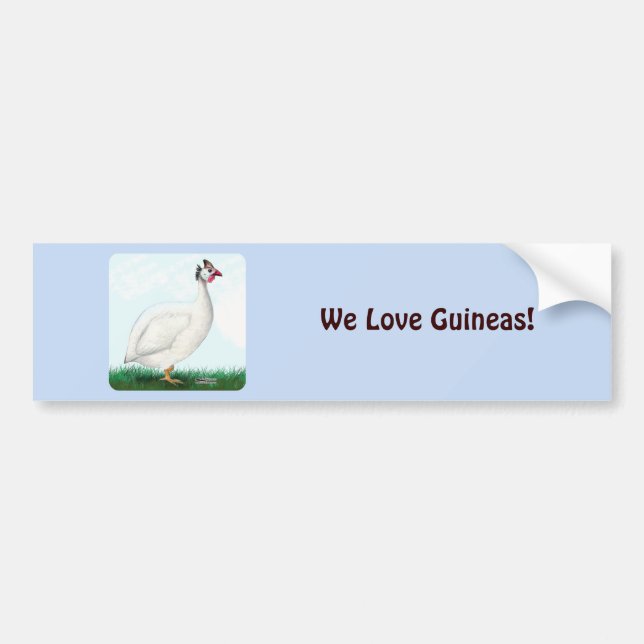 Guinea White Autoaufkleber (Vorne)