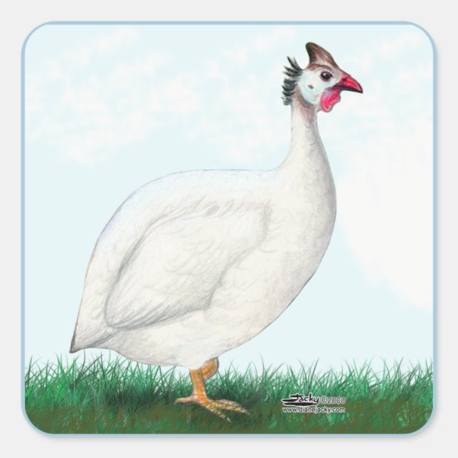 Guinea White Quadratischer Aufkleber (Vorderseite)