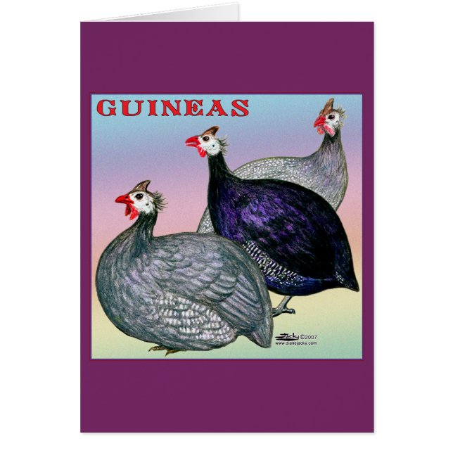 Guineas Trois Fowl (Devant)