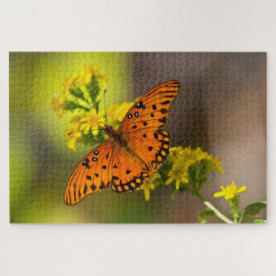 Gulf-Fritillarie oder Passionsfalter auf Goldrute