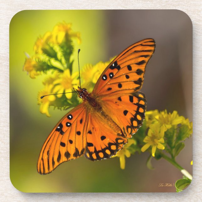 Gulf Fritillary aka Passion Butterfly on Goldenrod Getränkeuntersetzer (Vorderseite)