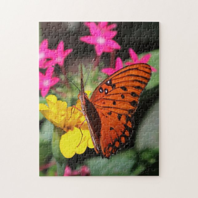 Gulf Fritillary Butterfly (Vertikal)