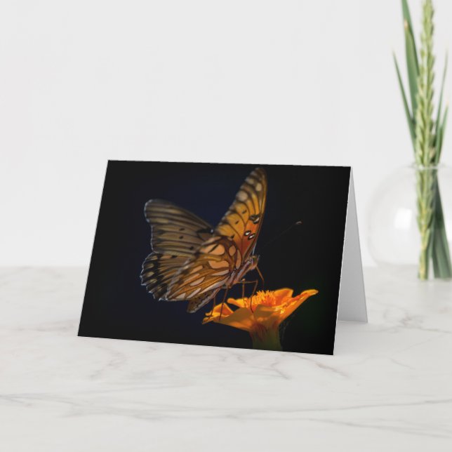 Gulf Fritillary Butterfly Blank Note Card Karte (Vorderseite)