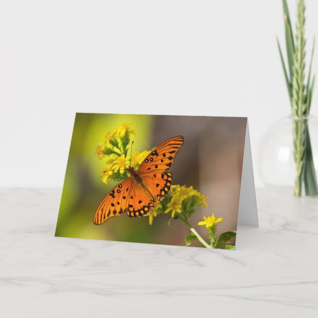 Gulf-Fritillary oder Passionsfalter auf Goldrute Karte (Vorderseite)