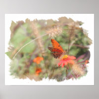 Gulf Fritillon auf Zinnia Aquarelldruck