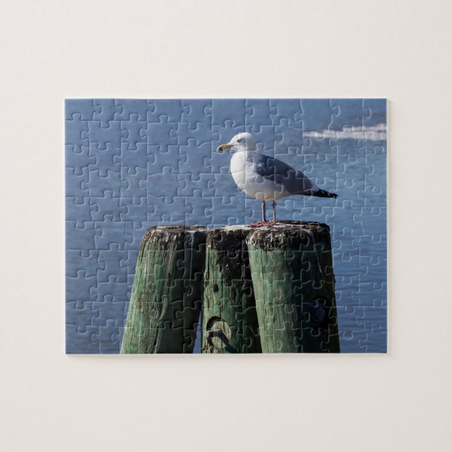 Gull auf Pilings (Horizontal)