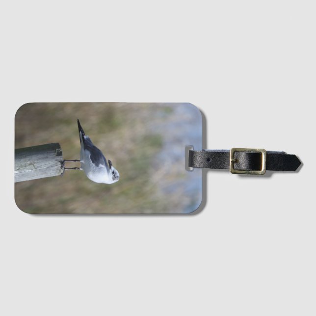 Gull auf Post Gepäckanhänger (Vorderseite (Horizontal))