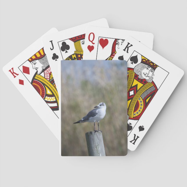 Gull auf Post Spielkarten (Rückseite)